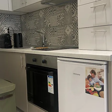 Stylish Modern Flat Downtown 公寓